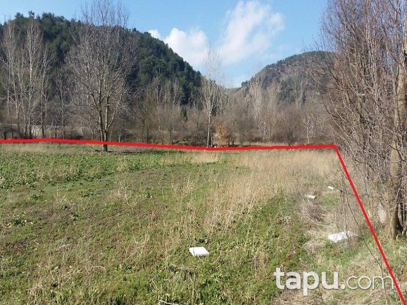 Bolu Mudurnu'da Tarla