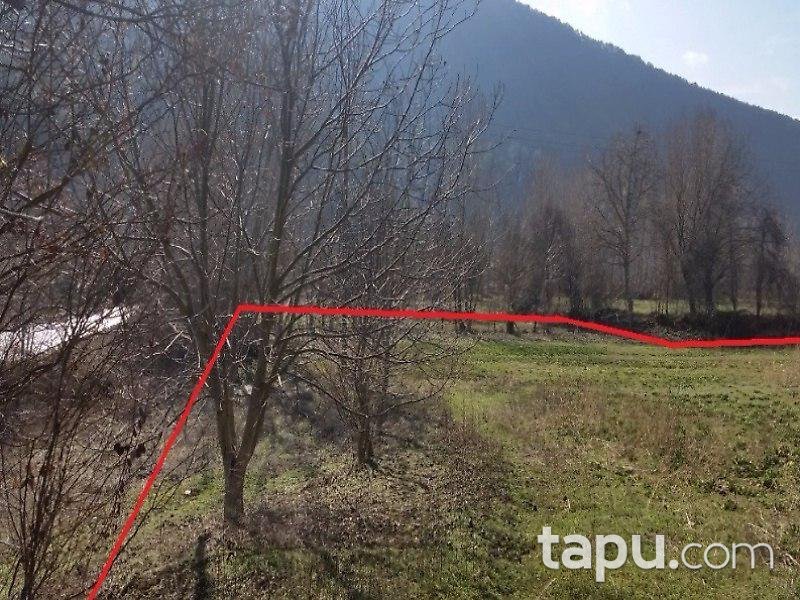 Bolu Mudurnu'da Tarla