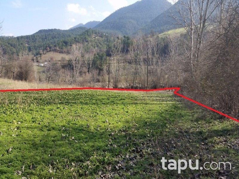 Bolu Mudurnu'da Tarla