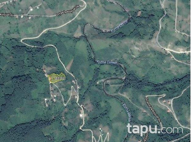 Ordu Akkuş'ta kargir ev ve fındık bahçesinin 1/3 hissesi