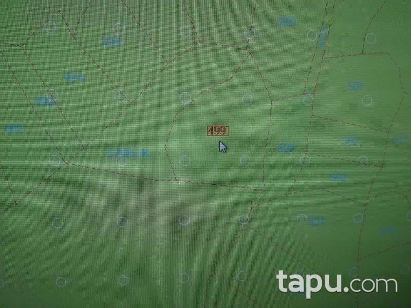 Bursa Mudanya Göynüklü Mahallesi 2700 m2 Zeytinlik