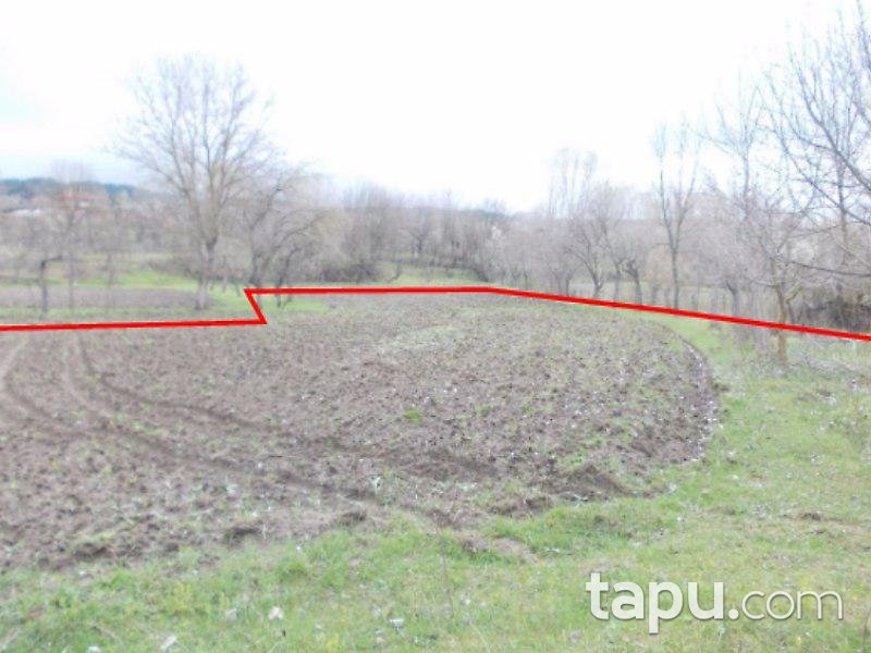 Kastamonu Merkez'de 10 Adet Tarla