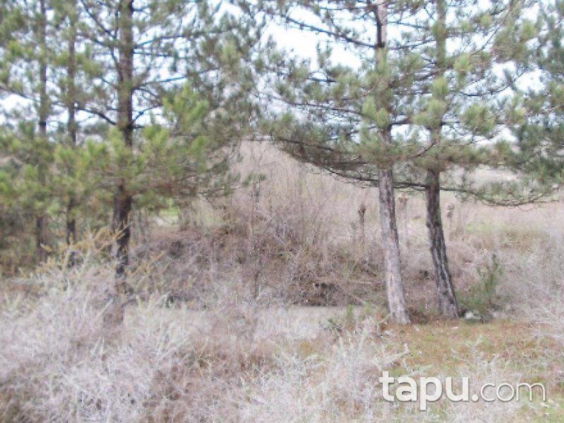 Kastamonu Merkez'de 10 Adet Tarla