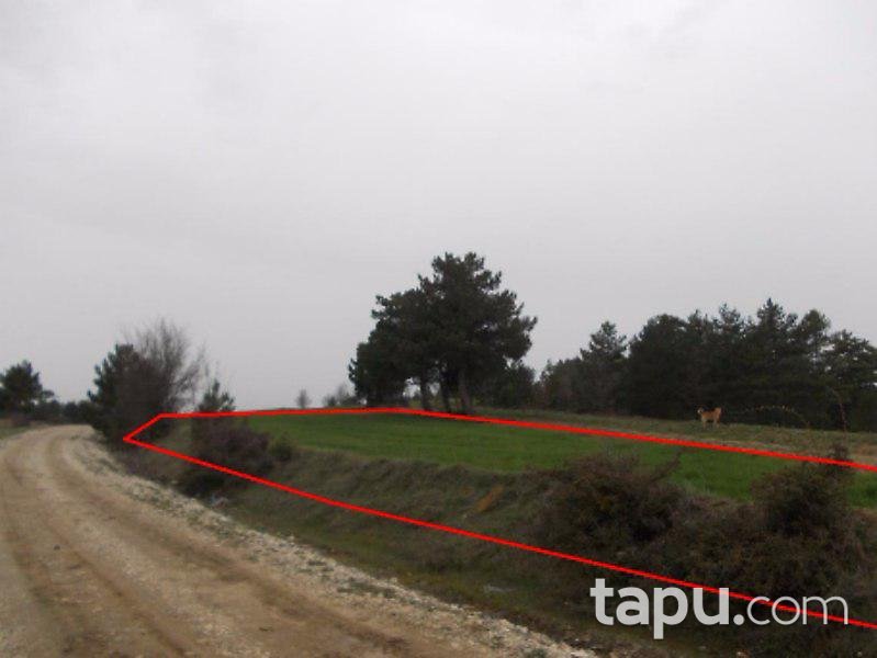 Kastamonu Merkez'de 10 Adet Tarla