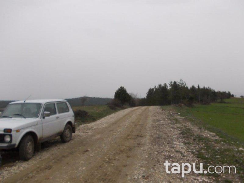 Kastamonu Merkez'de 10 Adet Tarla