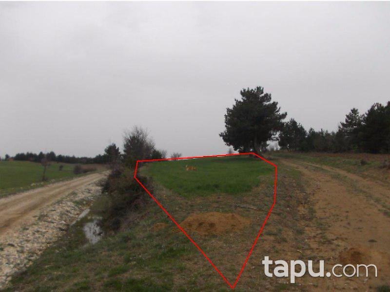 Kastamonu Merkez'de 10 Adet Tarla