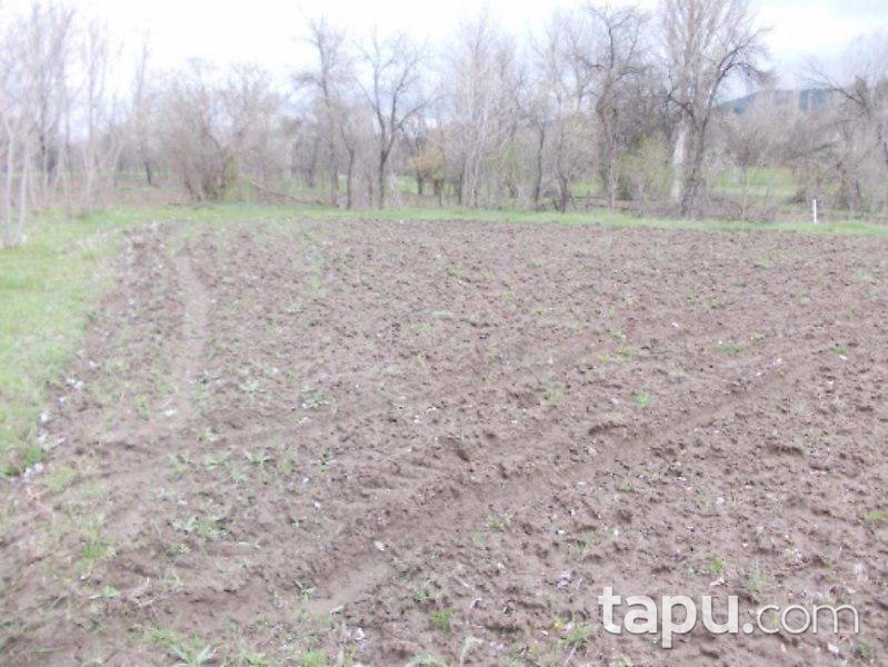 Kastamonu Merkez'de 10 Adet Tarla