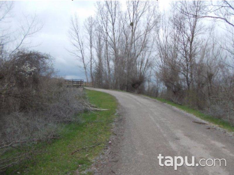 Kastamonu Merkez'de 10 Adet Tarla