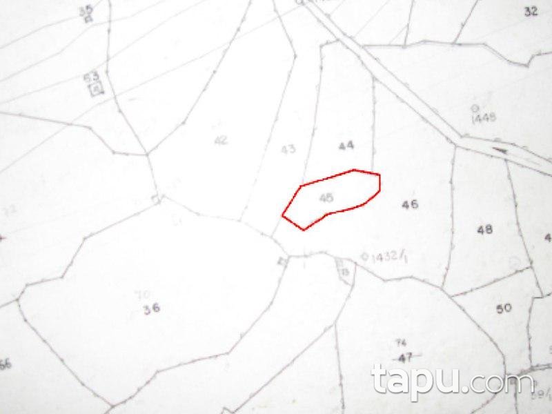 Giresun Tirebolu'da 1851 m2 Fındık Bahçesi