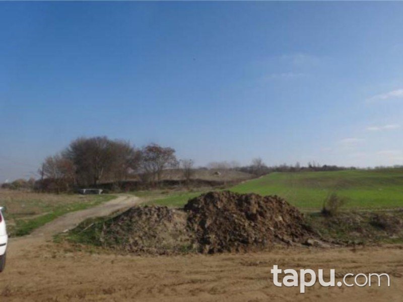 Tekirdağ Çorlu Hatip'te 22.177 m2 Bahçe