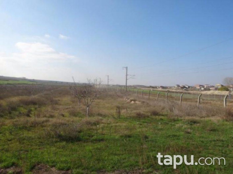 Tekirdağ Çorlu Hatip'te 22.177 m2 Bahçe