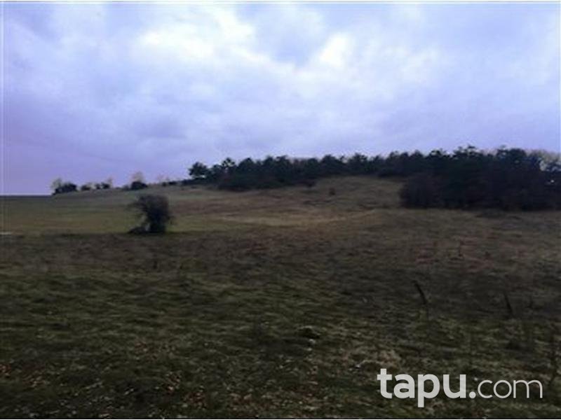 Bilecik Osmaneli Hisarcık'ta 8283 m2 Tarla