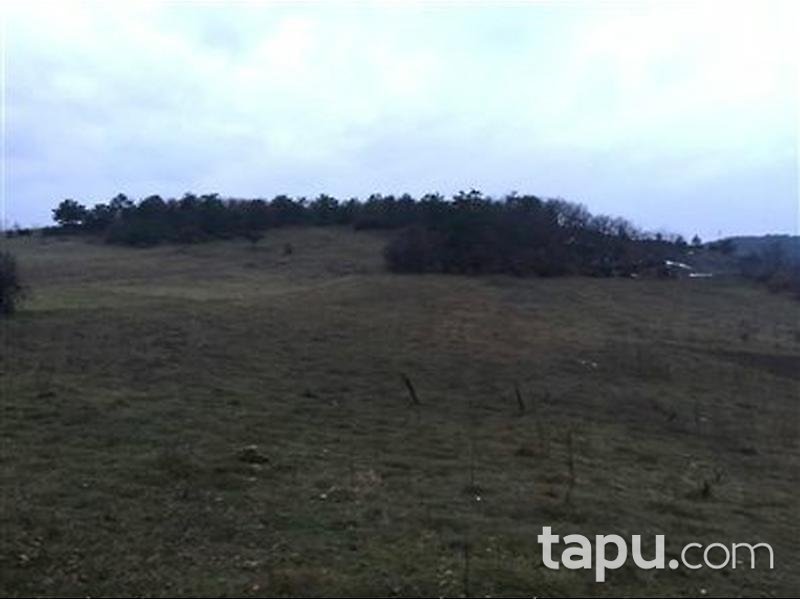Bilecik Osmaneli Hisarcık'ta 8283 m2 Tarla