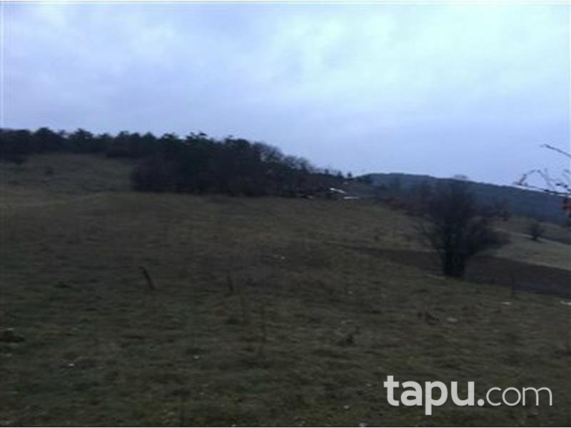 Bilecik Osmaneli Hisarcık'ta 8283 m2 Tarla