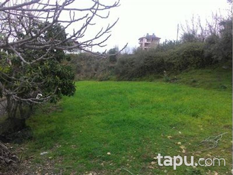 Muğla Seydikemer'de 342 m2 İmarlı Arsa