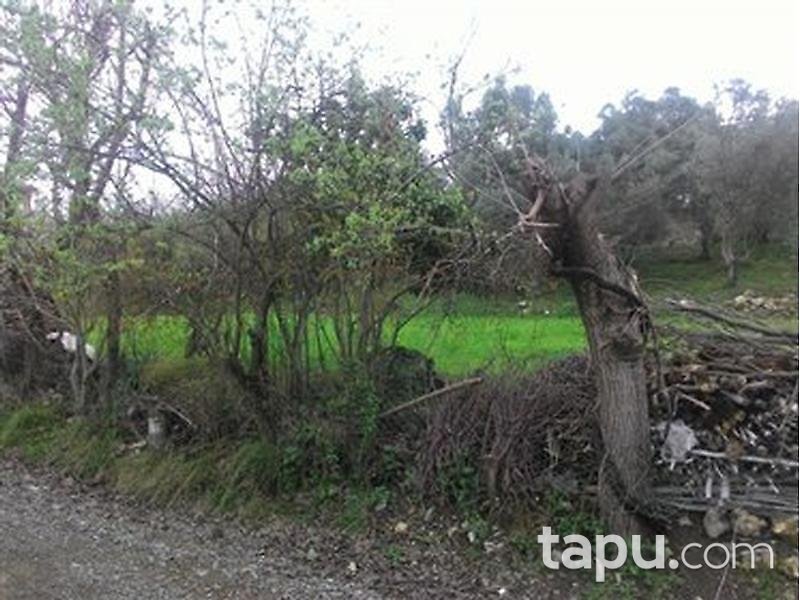 Muğla Seydikemer'de 342 m2 İmarlı Arsa