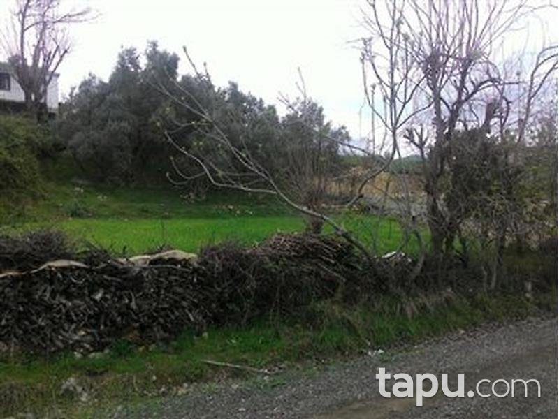 Muğla Seydikemer'de 342 m2 İmarlı Arsa