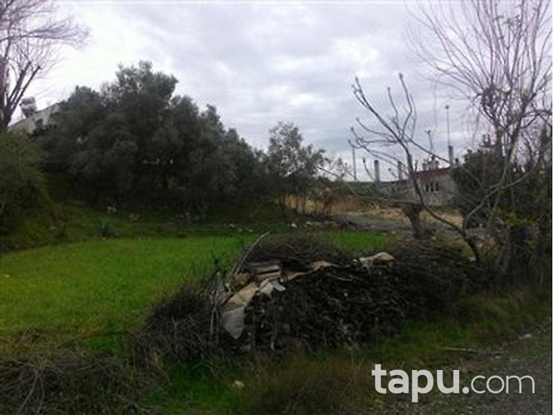 Muğla Seydikemer'de 342 m2 İmarlı Arsa