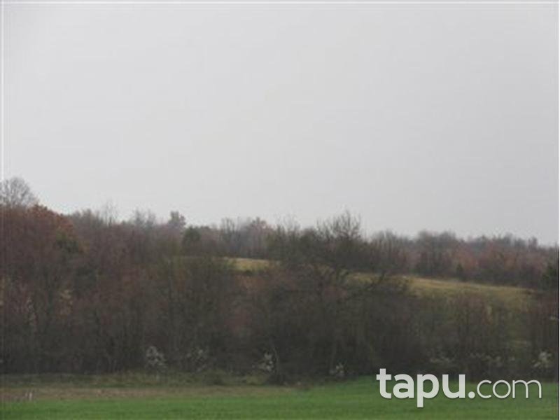 Edirne Uzunköprü Kırkkavak'ta 3500 m2 Tarla