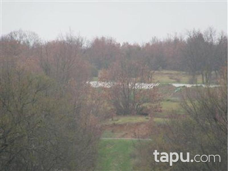 Edirne Uzunköprü Kırkkavak'ta 3500 m2 Tarla