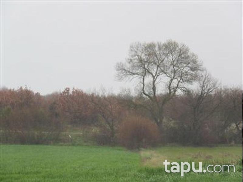 Edirne Uzunköprü Kırkkavak'ta 3500 m2 Tarla