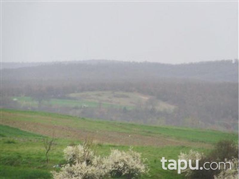 Edirne Uzunköprü Kırkkavak'ta 3500 m2 Tarla