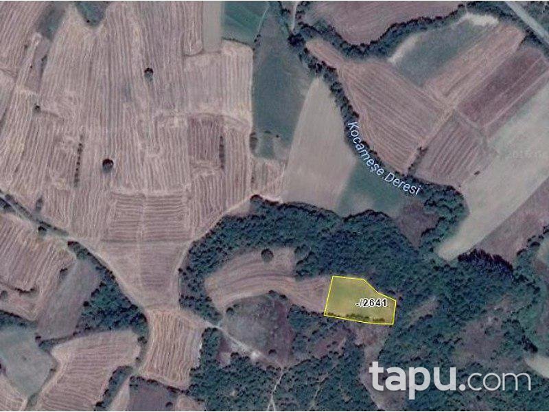 Edirne Uzunköprü Kırkkavak'ta 3500 m2 Tarla