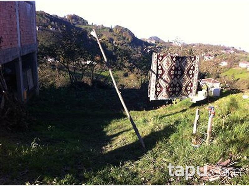Trabzon Çağlayan Okçu Mahallesi'nde Çay Bahçeli Ev 340 m2