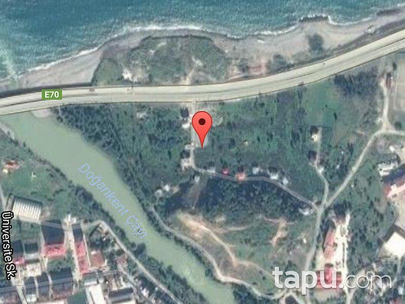 Giresun Tirebolu'da 500 m2 İmarlı Arsa