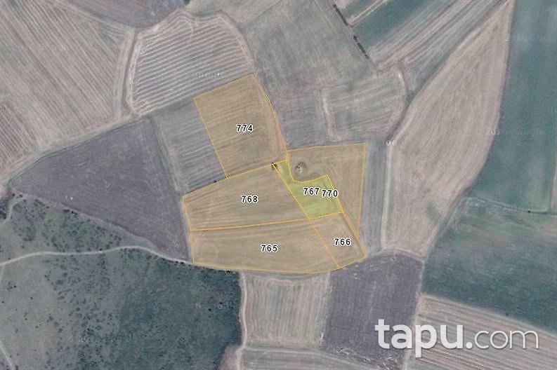 Edirne Uzunköprü Salarlı'da 3000 m2 Tarla