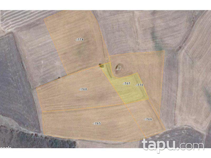 Edirne Uzunköprü Salarlı'da 3000 m2 Tarla