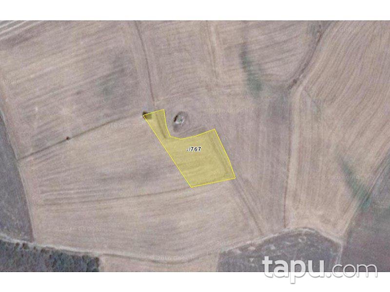 Edirne Uzunköprü Salarlı'da 3000 m2 Tarla