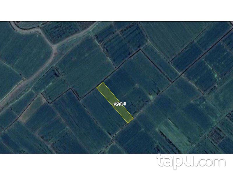 Edirne Uzunköprü Salarlı'da 3000 m2 Tarla