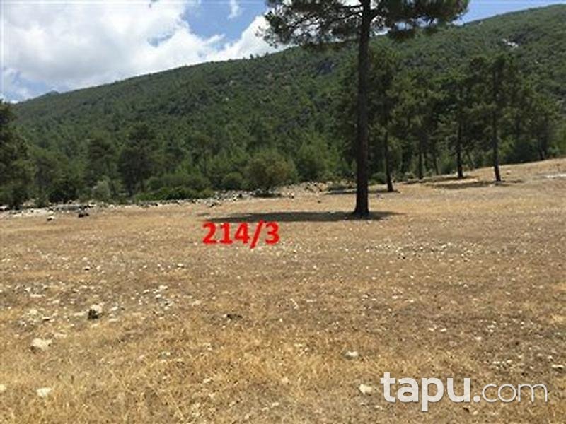 Antalya Kaş Karadağ Köyünde 2208 m2 Tarla