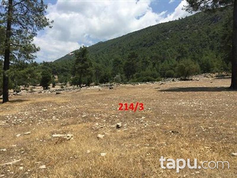 Antalya Kaş Karadağ Köyünde 2208 m2 Tarla