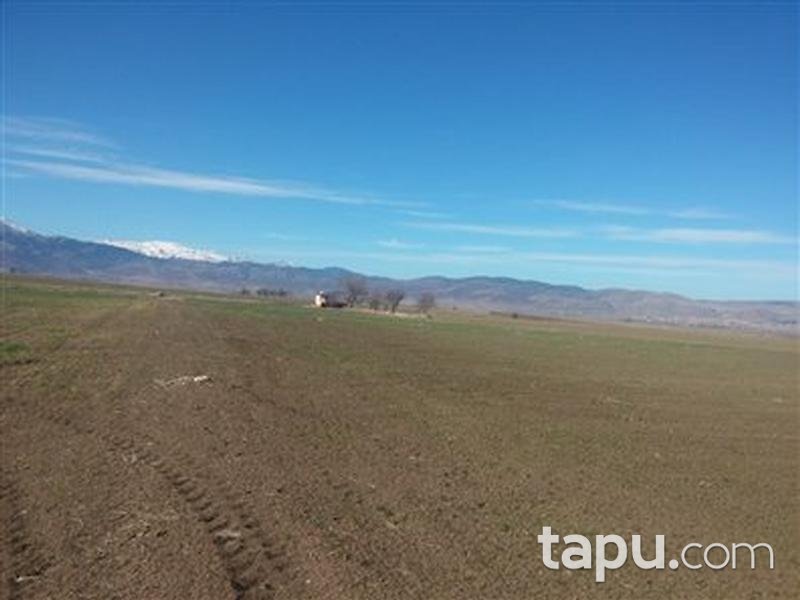 Afyonkarahisar Sandıklı Kusura köyünde 4550 m2 Tarla