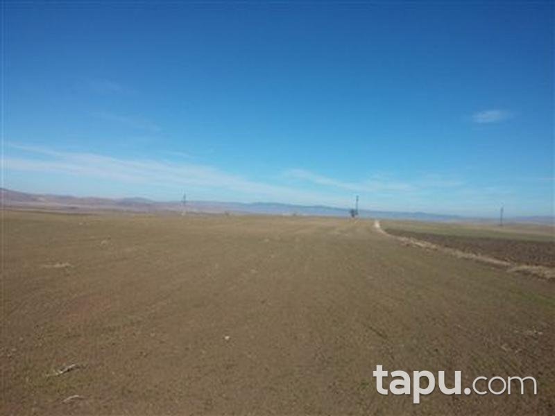 Afyonkarahisar Sandıklı Kusura köyünde 4550 m2 Tarla