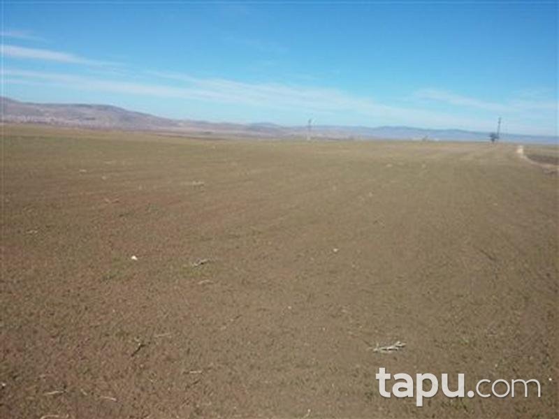 Afyonkarahisar Sandıklı Kusura köyünde 4550 m2 Tarla