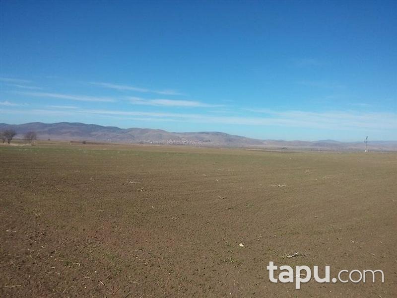 Afyonkarahisar Sandıklı Kusura köyünde 4550 m2 Tarla