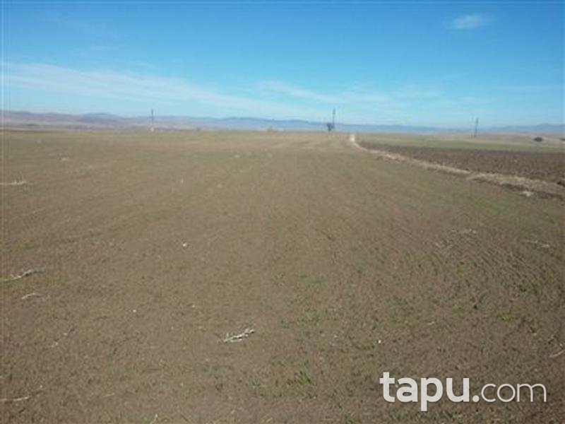 Afyonkarahisar Sandıklı Kusura köyünde 4550 m2 Tarla