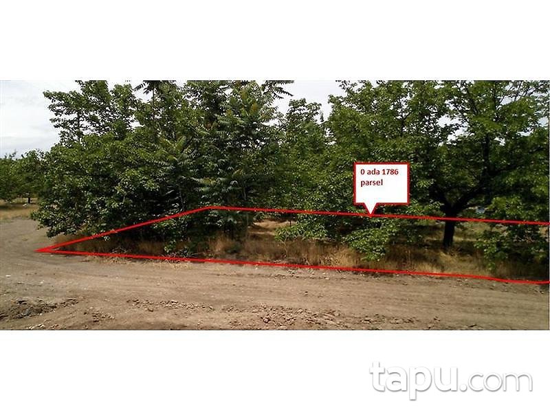 Malatya Kale Kıyıcak'da 1010 m2 Tarla
