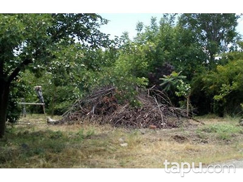 Malatya Kale Kıyıcak'da 1000 m2 Tarla