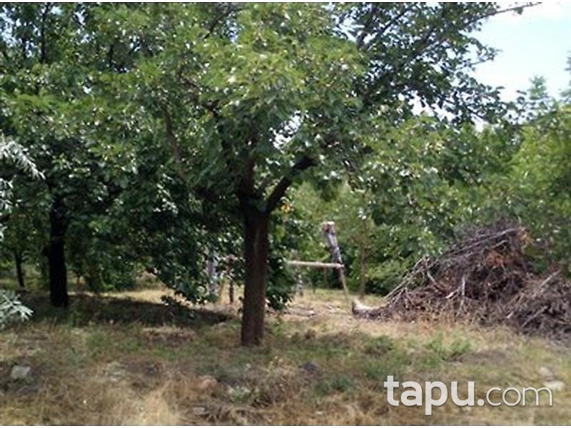 Malatya Kale Kıyıcak'da 1000 m2 Tarla