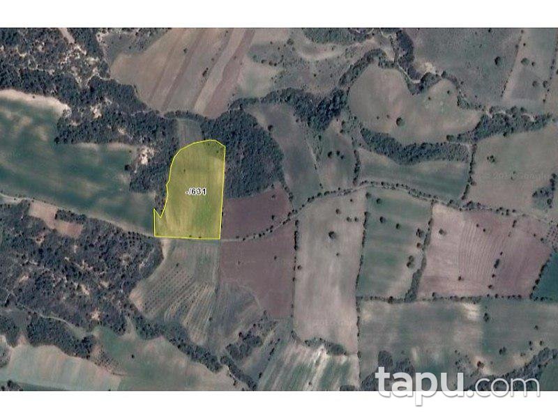 Manisa Kula'da 11.200 m2 Tarla