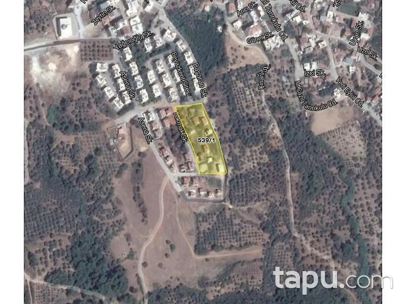 Aydın Kuşadası Davutlar'da Hisseli Arsa