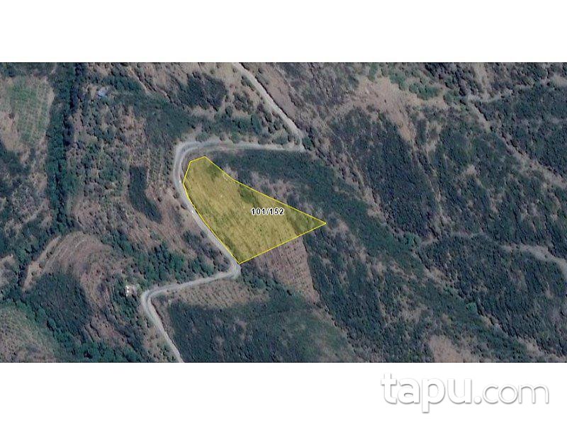 İzmir Tire Çeriközü'nde İncirlik 14.866 m2