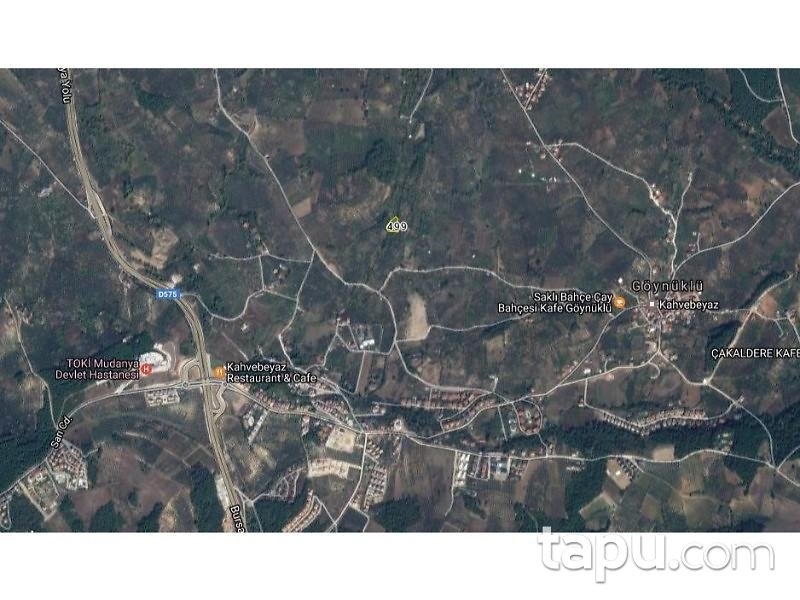 Bursa Mudanya Göynüklü Mahallesi 2700 m2 Zeytinlik