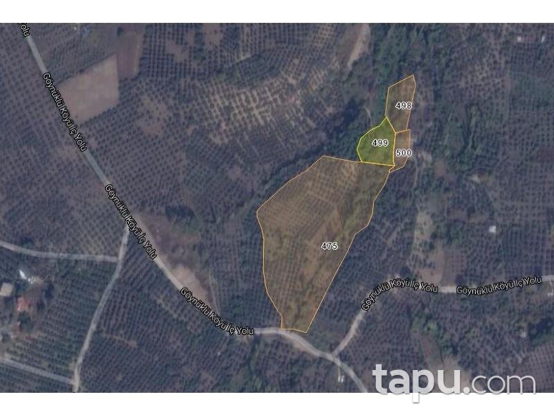 Bursa Mudanya Göynüklü Mahallesi 2700 m2 Zeytinlik