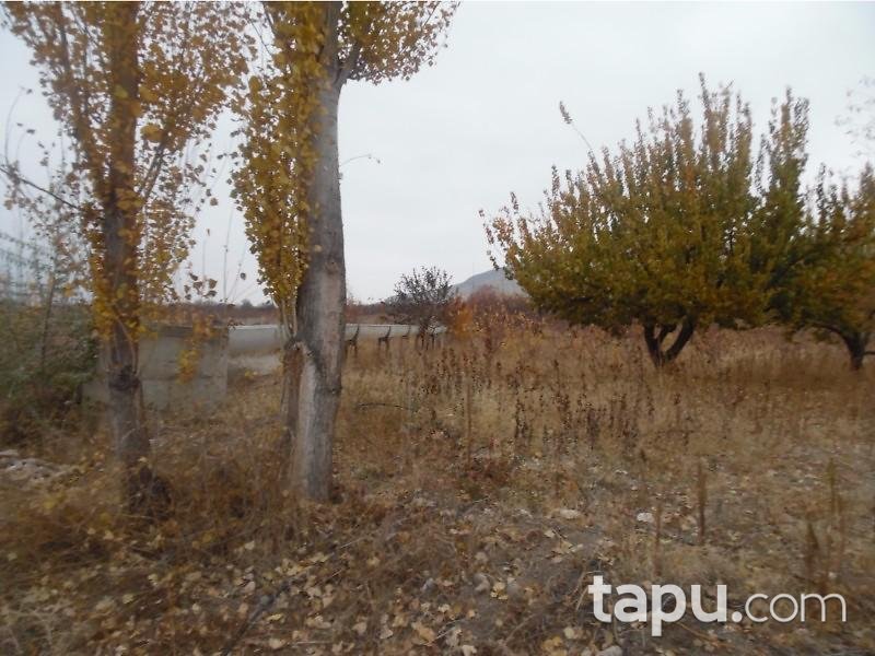 Isparta Senirkent'te 5 Adet 18.317 m2 Tarla