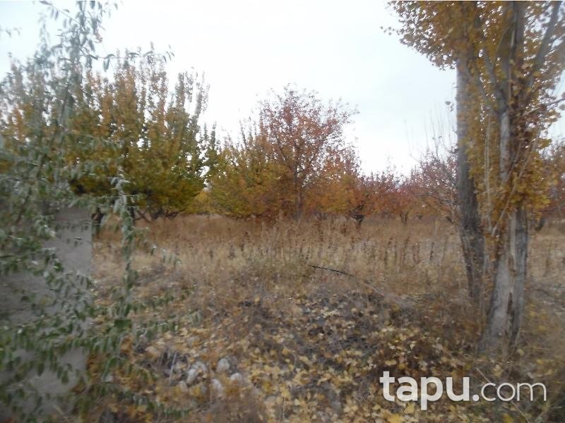 Isparta Senirkent'te 5 Adet 18.317 m2 Tarla